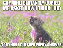 I dont like people being able to cheat off of me especially when it was an important exam His worried look was definitely worth it though