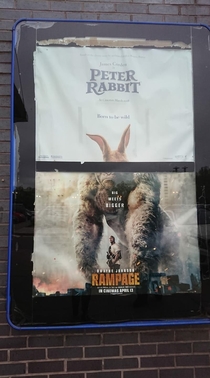 I dont remember Peter Rabbit being this intense