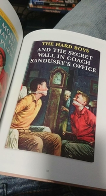 I dont remember this Hardy Boys mystery