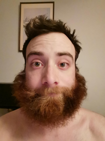 I dont understand why people are getting upset about not having their hair cut My beard is doing just fine in quarentine 