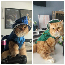 I dressed my cat up for Halloween Pray for me