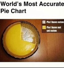 I easily understand pie charts now