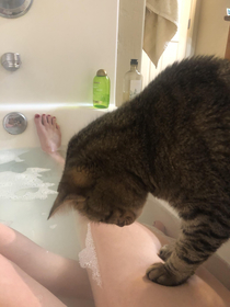I farted so he jumped in the bath to figure out where the bubbles came from