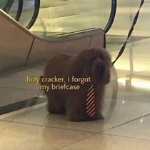 I feel him