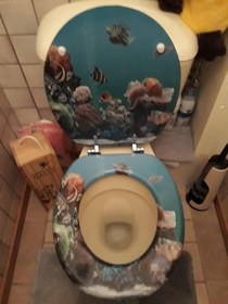 I feel like an oil tanker every time I go to the bathroom at my parents house