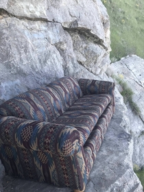 I found a new species of Mountain Couch today