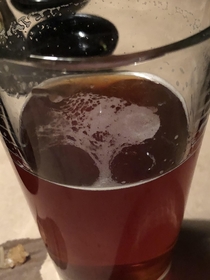 I found a tree in my beer