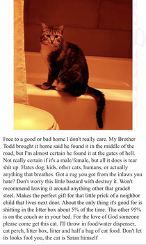 I found an ad for a satan kitty today on Craigslist
