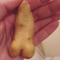I found an uncircumcised potato while making dinner tonight