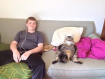 I Found My Son and Cat Like This