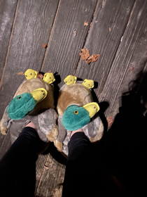 I found these slippers at Savers and my dog who has a similar toy keeps chomping them every time I walk by Im a walking toy