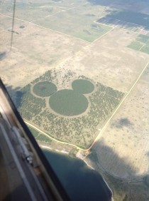 I found this about  miles west of Orlando on a flight today