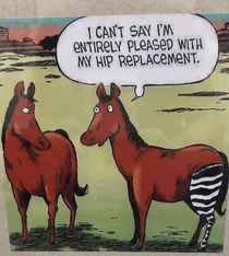 I got a new hip so my wise ass buddy send me this