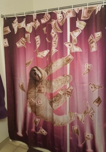 I got this for my sister for Christmas Unfortunately for her I didnt know her shower doesnt require a shower curtain Fortunately for me mine does