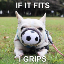 I Grips