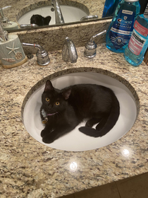 I guess I cant brush my teeth tonight