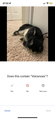 I guess my rabbit looks like a volcano