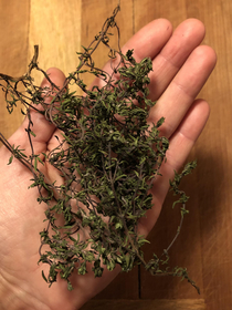 I had some thyme on my hand so I thought Id post this picture