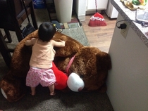 I had to use this bearier to stop my daughter from going into the kitchen