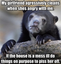I hardly ever have to clean my house
