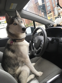 I have a feeling my uber driver is under qualified