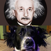 I have a theory of dogitivity
