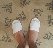 I have quite large feet Just tried to put on the slippers in my hotel room in Singapore