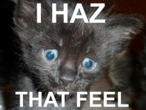 I haz that feel