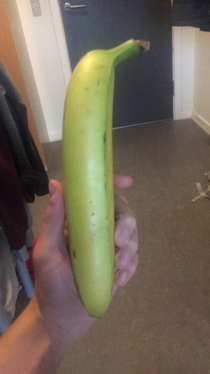 I heard about the big bananas and wanted to show off my small hand