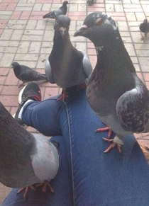 I heard you was handin out bread crumbs to the other flock