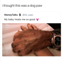 I honestly thought that was a paw