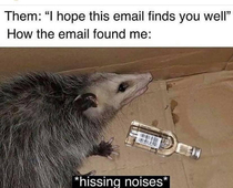 I Hope This Email Finds You Well