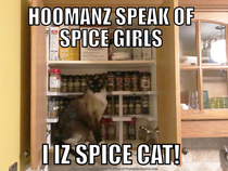 I iz Spice Cat