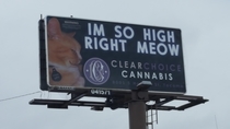 I just drove by this hilarious billboard in my town Marketing to your correct demographic