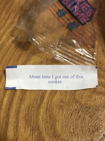I just got a normal fortune cookie but I did not expect that
