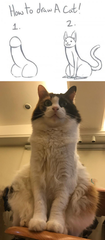 I just realise my cat look like the how to draw a cat on Reddit years ago