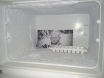 I just wanted to put something in the freezer at work but somebody was chillin in there