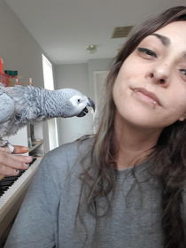 I just wanted to take a nice picture with my bird