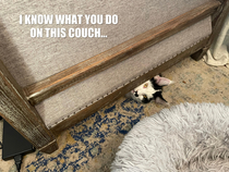 I know what you do on this couch