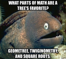 I laughed way more than I should have