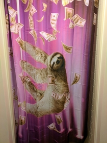 I let my roommate choose our shower curtain