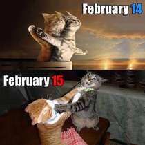 I look forward to the February th posts more