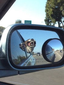 I look into the side-view mirror of my friends car while she is driving to see this