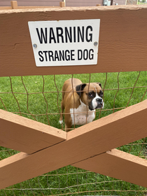 I love a dog owner with a sense of humor