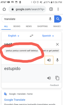 I love Google translate