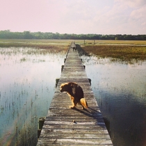 I love nature and shit