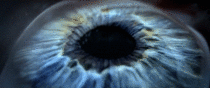 I love the detail of the eye shown in the new Cosmos promo