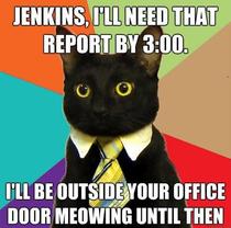 I love the return of business cat meme