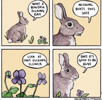 I love this f rabbit