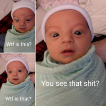I made a collage of my newborn discovering her nose